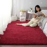 爱尚象地毯加柔长绒客厅书房地毯卧室床边飘窗铺毯可定制 加厚 羊羔绒 酒紫色 50*160厘米
