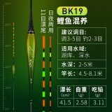 民间艺人鱼漂夜光漂电子漂高灵敏夜光漂醒目鲫鱼浮漂日夜两用加粗夜钓浮漂 硬尾19中大型鱼长41.5cm吃铅3.11