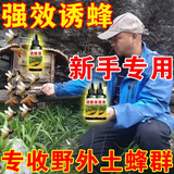 蜂不来不收钱】诱蜂液诱蜂神器招蜂水野外招蜂诱蜂膏引蜂收捕野蜜 诱峰水 强效组合装【诱峰水+诱峰宝】
