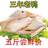 诺斯食美老鸭子土鸭麻鸭农家散养鸭子肉整只 3年老鸭4.5-5斤左右