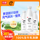 光明 如实 原味0添加 风味发酵乳950g*3瓶 低温酸奶 [源头直发]