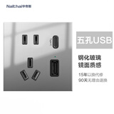 Nalthai开关插座86型钢化玻璃面板暗装带LED夜间指示灯点开关晶点灰系列 USB+五孔插座(真正玻璃面板)