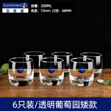 乐美雅6只装加厚耐热玻璃杯家用透明喝水杯泡茶杯牛奶果汁杯套装 6只装/透明葡萄园矮款 200ml