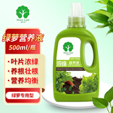漫生活 绿萝专用营养液500ML/瓶水溶肥液体肥叶面肥大叶绿萝盆栽营养液