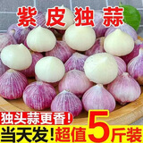 琦拉独头蒜大蒜头 2024云南大理紫皮独蒜 精品新鲜干蒜湿蒜农家自种 独头蒜-1斤-小果【2.0-2.5cm】