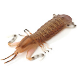 玛奇乐（MECHILE）仿真海洋生物玩具鲨鱼海豚海葵海星海马水母皮皮虾面包蟹动物模型 皮皮虾