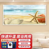 鑫萬豐石墨烯电热板取暖器家用电暖气片壁挂式取暖画 电暖画碳晶墙暖电热画壁画 工程框800瓦-海星