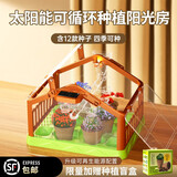 光彩年华儿童益智玩具女孩六一儿童节61阳光房生日礼物7-14岁女童6-10岁 太阳能种植房-12款种子+工具包