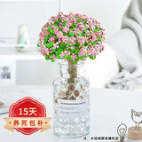 花友独杆金枝玉叶多肉植物绿植花卉办公盆栽室内盆景好养植物 独杆金枝玉叶+广口瓶+水培珠