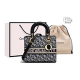 CENTARLKATTY新款高级感字母印花戴妃包包女式2024新款潮小方包 黑色字母