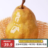 鲁禧山东特产正宗烟台中华丑梨软糯多汁新鲜水果梨子加州啤梨孕妇水果 5斤大果（净重4.5+,约6-8枚）