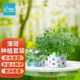 IAM City Farmer薄荷DIY趣味种植盆栽桌面种植可食用薄荷种子儿童小盆栽好种易活