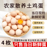 芮瑞 农家正宗土鸡蛋山林散养草鸡蛋 现发柴鸡蛋 40±5g/枚 4枚