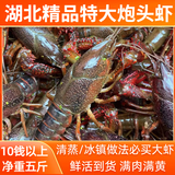 湖北潜江自产自销清水稻田鲜活小龙虾5斤装大虾超大（干净免刷） 10钱大炮头五斤（一斤大概9-10）