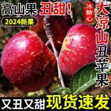大口七八四川盐源糖心丑苹果新鲜水果整箱包邮9斤应季当季孕妇脆红富士10 5斤装 中果丨果径70-80mm