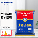 牛元（NIU YUAN）瓷砖美缝填缝剂缝隙预防霉防潮勾缝剂地砖墙砖缝隙填充厨卫补缝 CG1常规款白色2kg 2kg