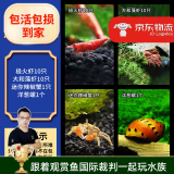 云峰海瑞黑壳虾清洁虾观赏虾 鱼缸水族箱水草缸清洁除藻淡水 虾螺蟹清洁套餐A