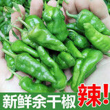 味小仙 新鲜小米椒 红小米辣椒朝天椒 5斤余干椒