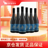 The Strong Sailor水手混酿干红葡萄酒750ml*6整箱红酒 智利进口红酒 热红酒