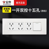 公牛（BULL）118型二十孔多孔连排插座带开关网线面板四位电视丨发模块需组装 【一开双控 十五孔】四位