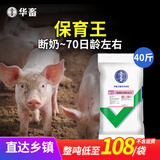华畜4%生长猪仔猪小猪预混料猪饲料育肥猪复合预混合饲料母猪饲料 保育料【整吨低至108/袋】