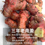 潮汕南姜新鲜牛羊肉火锅卤味去膻去腥山姜野山姜潮州正宗 深山现挖新鲜老山姜3斤