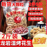 十年梦龙岩湿烤花生福建特产红衣花生正宗闽西特产农家水煮咸干花生 龙岩湿烤花生500g2袋