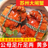 【活蟹】神行大闸蟹现货全母蟹鲜活六月黄螃蟹生鲜河蟹生鲜礼盒 全母蟹2.5-2.8两 8只装