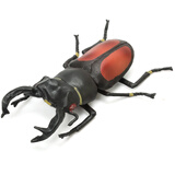 玛奇乐（MECHILE）仿真昆虫动物模型玩具蝉凤尾蝶蜻蜓螳螂苍蝇蟑螂蜈蚣宝宝认知启蒙 橘背楸甲