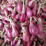 大禹夏季蔬菜种子大全耐热四季播家庭种植阳台6月份夏天种的菜 红葱头种子半斤+50g有机肥1包