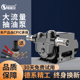 恒格尔电动抽油泵12V24V220V伏油泵柴油抽油机抽油器加油机加油泵抽油泵 12V550W抽油泵（大流量）