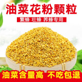 蜂之家油菜花粉2024养蜂喂蜂蜂用优质天然杂花粉蜜蜂饲料颗粒蜂花粉养蜂 1斤新粉