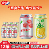 宏宝莱330ml经典荔枝味老汽水易拉罐装东北怀旧碳酸饮料 荔枝汽水*6罐+凤梨汽水*6罐