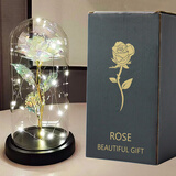 Rochli生日礼物送女生闺蜜朋友情人节表白女生永生花玫瑰花束摆件妈妈 【升级款】彩金玫瑰+礼袋灯电池