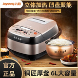 九阳60FZ1电饭煲6升多功能智能食堂饭店商用大容量铜匠厚釜煮饭锅 流沙金 6L （6-12）人