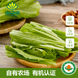 小汤山 有机小白菜 250g 基地直供新鲜蔬菜有机认证