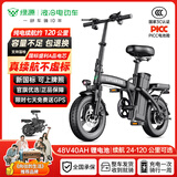 绿源【向往的生活推荐品牌】电动自行车新国标代驾折叠电动车超长续航铝合金锂电池助力电瓶车 航空版-40A-纯电120公里