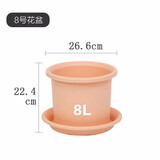 爱丽思（IRIS）花瓶彩色Deepot圆形月季铁线莲花盆园艺批发树脂花盆塑料盆 8号 皮肤粉【带托