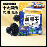 三只松鼠蜜饯系列蔓越莓干蓝莓干水果干蜜饯果脯休闲零食酸甜解馋开胃小吃 【推荐-量贩袋装】蓝莓干500g