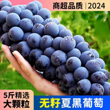 云南夏黑葡萄新鲜2024应当季无籽葡萄黑加仑提子孕妇水果整箱 5斤(单果10g+)