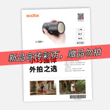 神牛补光灯sl200三代200w补光灯摄影常亮直播灯LED摄影灯双色温视频直播补光灯人像拍照美颜柔光灯 复古闪光灯2宣传画册 官方标配 白光版