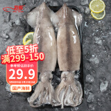 初鲜鲜冻大鱿鱼(2条)净重600-650g 铁板鱿鱼 火锅烧烤食材 国产海鲜