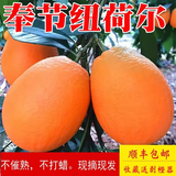 渝奉顺丰正宗重庆奉节脐橙薄皮大果现摘孕妇水果新鲜当季10斤20甜橙子 【大果80-85】纽荷尔/推荐款 带箱子20斤