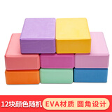 丁丁运动户外拓展训练器材摸石过河 趣味游戏道具摸石头过河成人亲子游戏 瑜伽砖 12块 均码