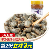 潮龙8A醉泥螺260g 即食海鲜下饭下酒菜宁波特产上海风味黄泥螺 5A泥螺260g