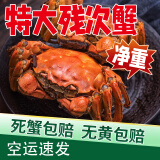 【活蟹】残蟹鲜活大闸蟹2斤送1斤少腿蟹兴化大闸蟹断腿蟹螃蟹鲜活 公4.5-5两5只+母3.5-4两5只