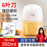 子路电动蒜泥机捣蒜器家用佐料切碎搅绞肉机辅食料理机六叶刀头350ml