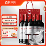 奔富（Penfolds）BIN389赤霞珠设拉子干红葡萄酒750ml*6  赠水晶醒酒器+红酒杯