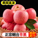苹之都 烟台苹果水果红富士苹果新鲜脆甜整箱应季生鲜果山东特产平果 红富士5斤 75#