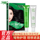五贝子染发剂植物旗舰纯黑色男女自己在家染头发焗油膏遮盖白发官方 自然黑120g【遮盖白发】